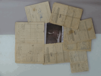 Lajosmizsei Kiállítás