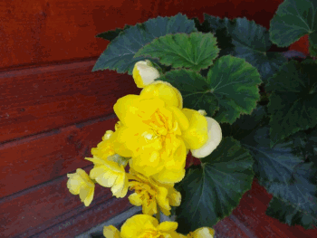 Csapatépítés a Potyka tónál