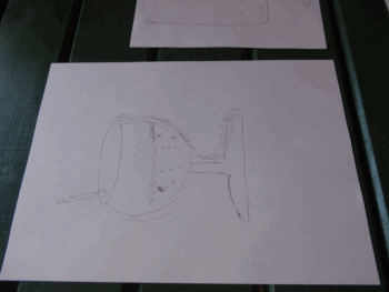 Csapatépítés a Potyka tónál