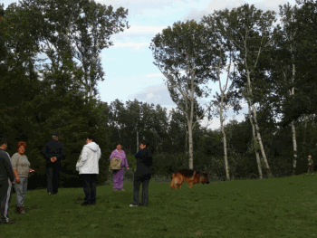 Csapatépítés a Potyka tónál